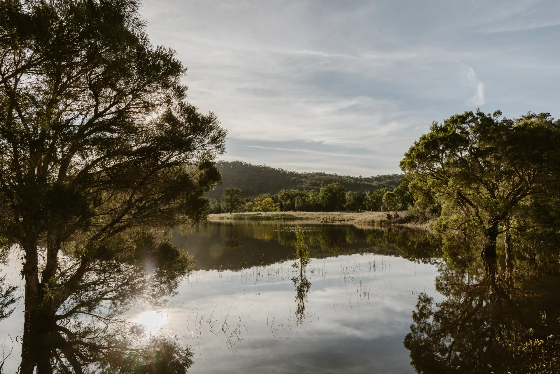 A dam in Millfield surrounded by trees
