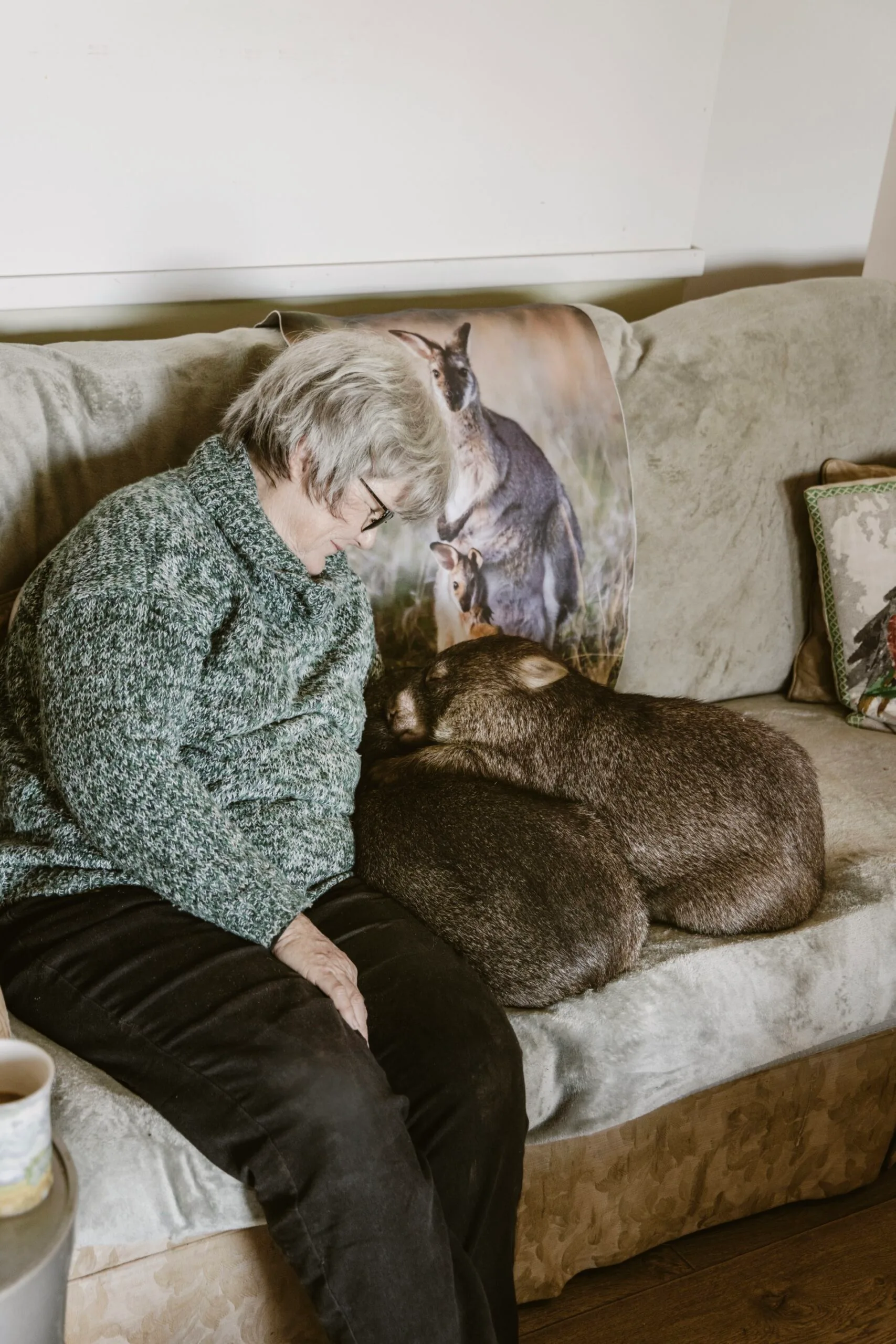 Wildlife rescuer Judy with two wombats on a couch