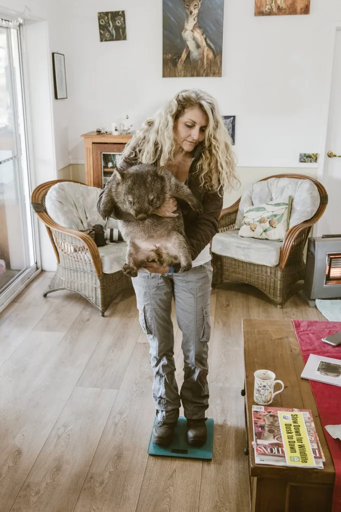 Wildlife rescuer Melle Mathiske checks a wombat’s weight