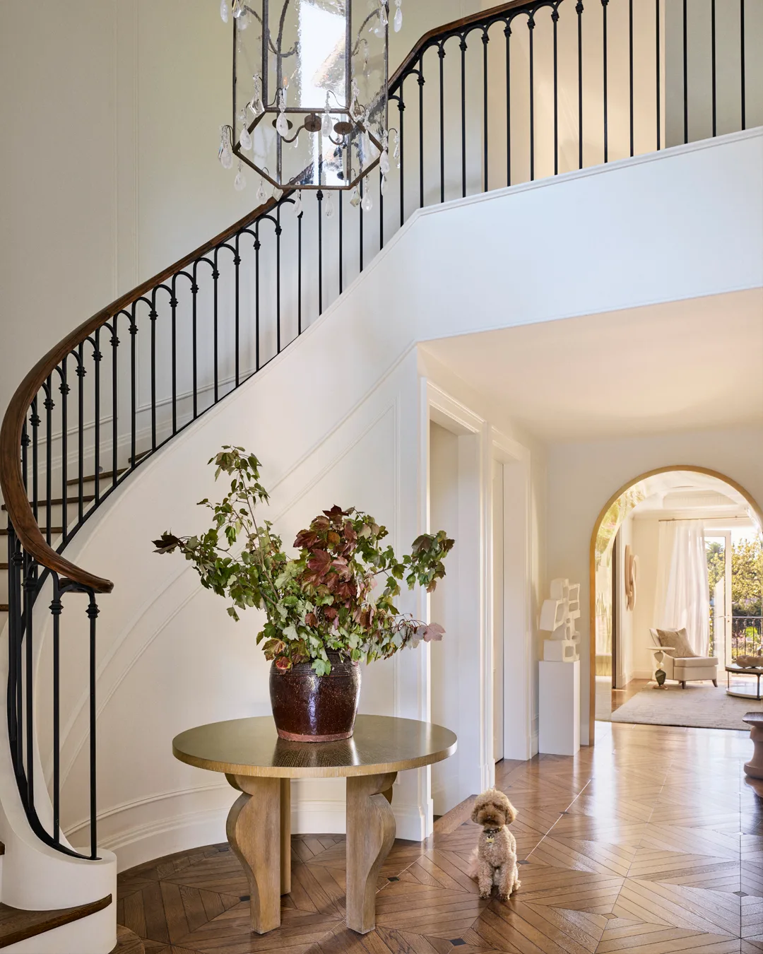 A staircase with black and timber balustrade, wooden table with florals and dog sitting on the floor
