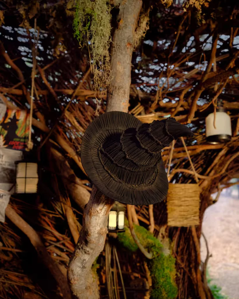 A black witch hat sitting on a tree branch