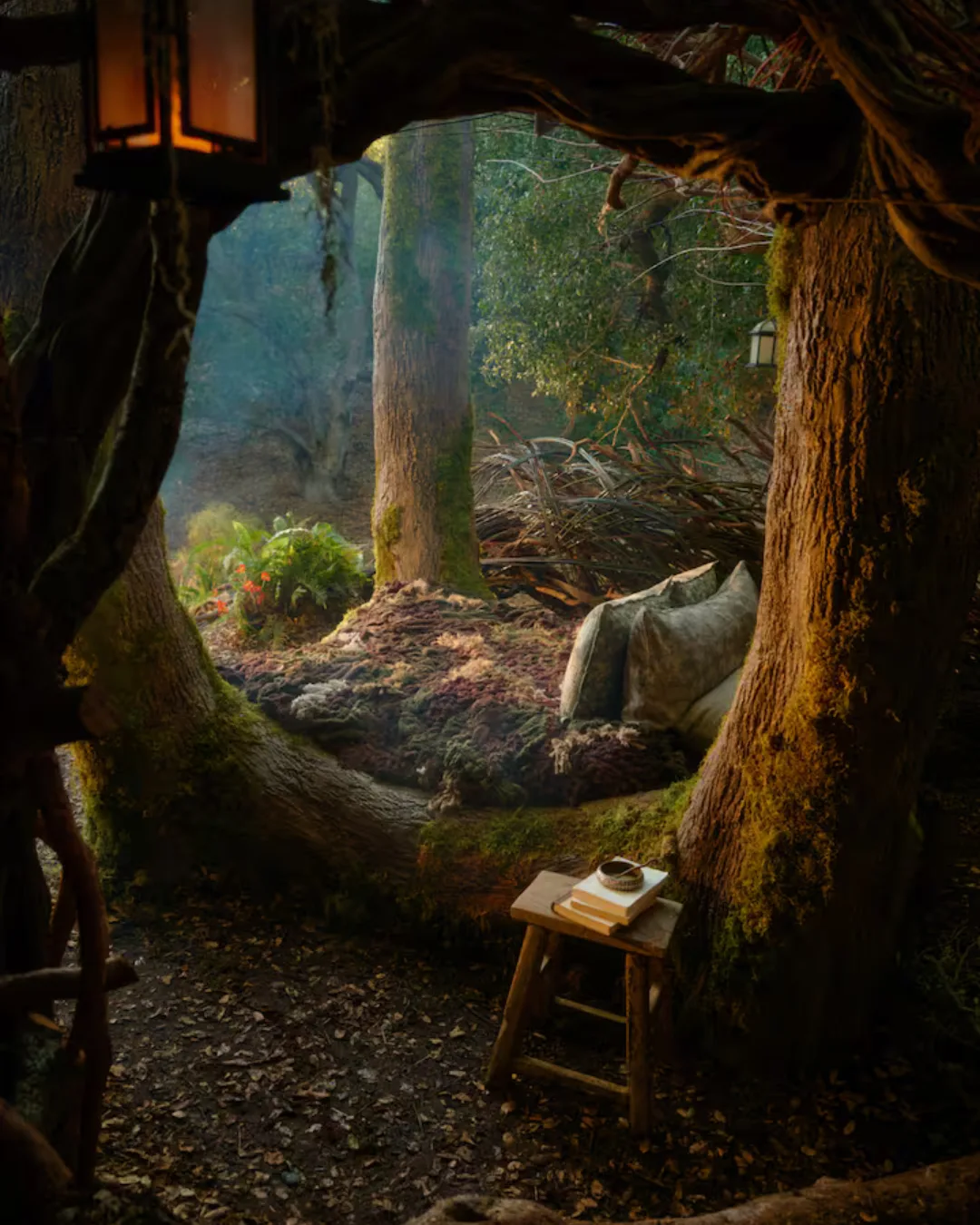 A view of the forest from inside a tree with a timber stool in the corner with books on top