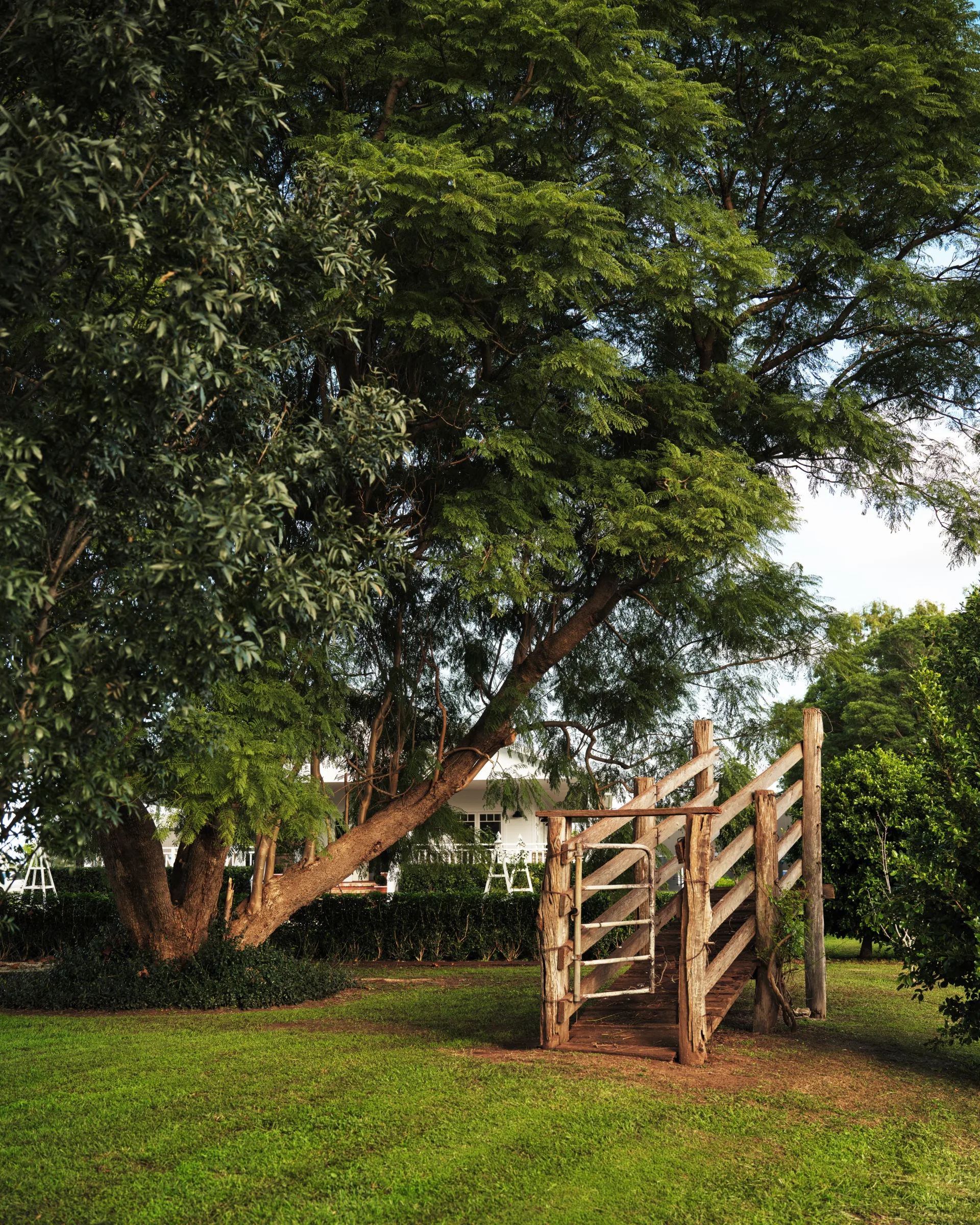 Country homestead gate