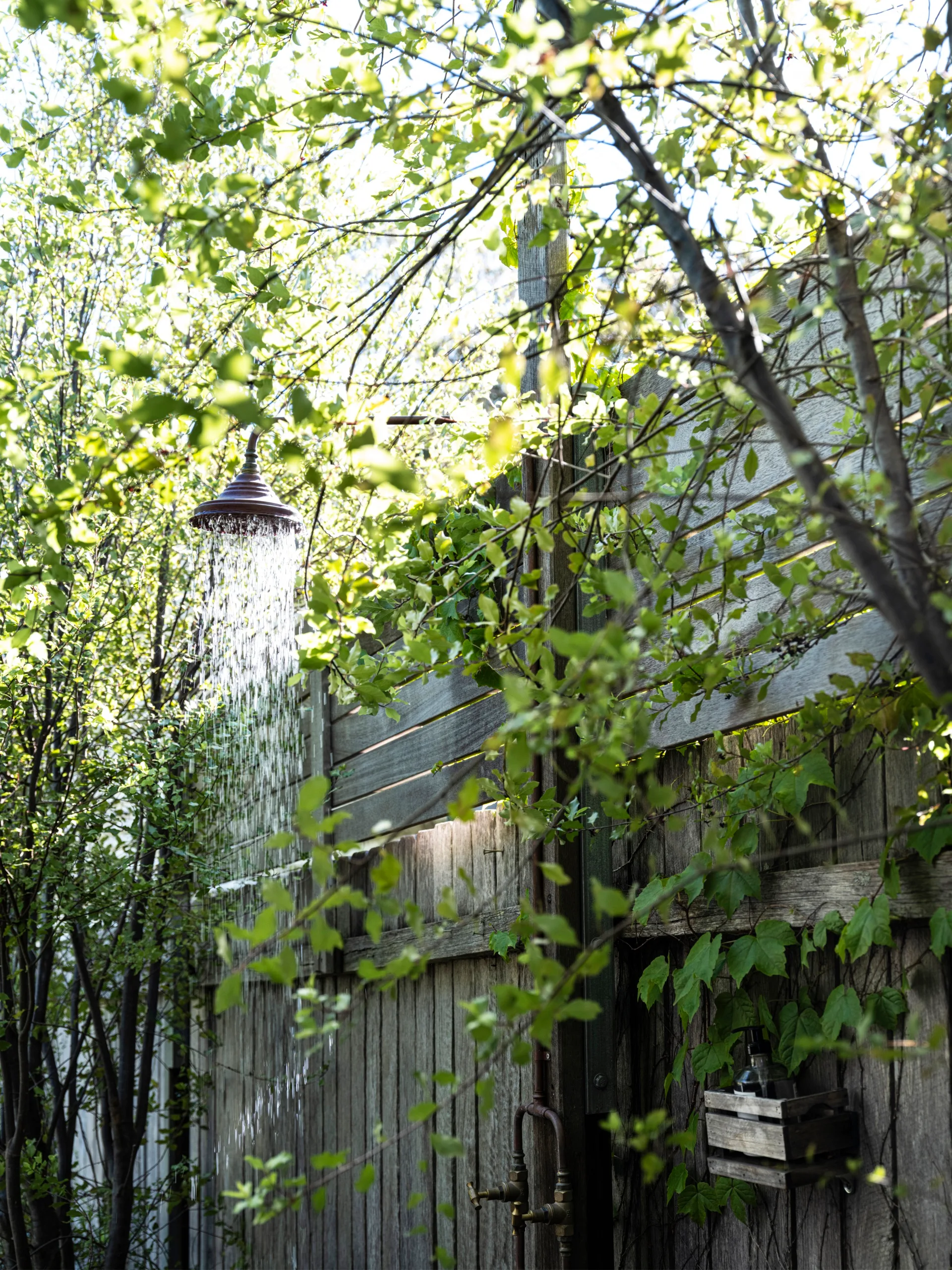 An outdoor shower surrounded by nature