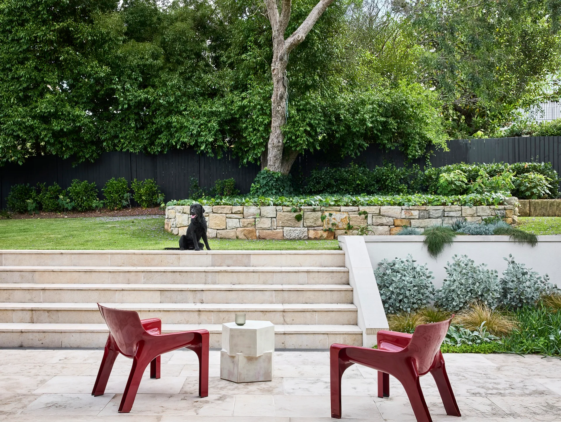 Backyard outdoor entertaining