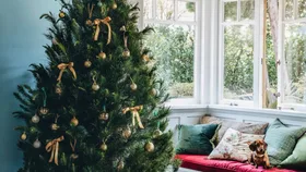 When to take down your Christmas tree – the date everyone argues about