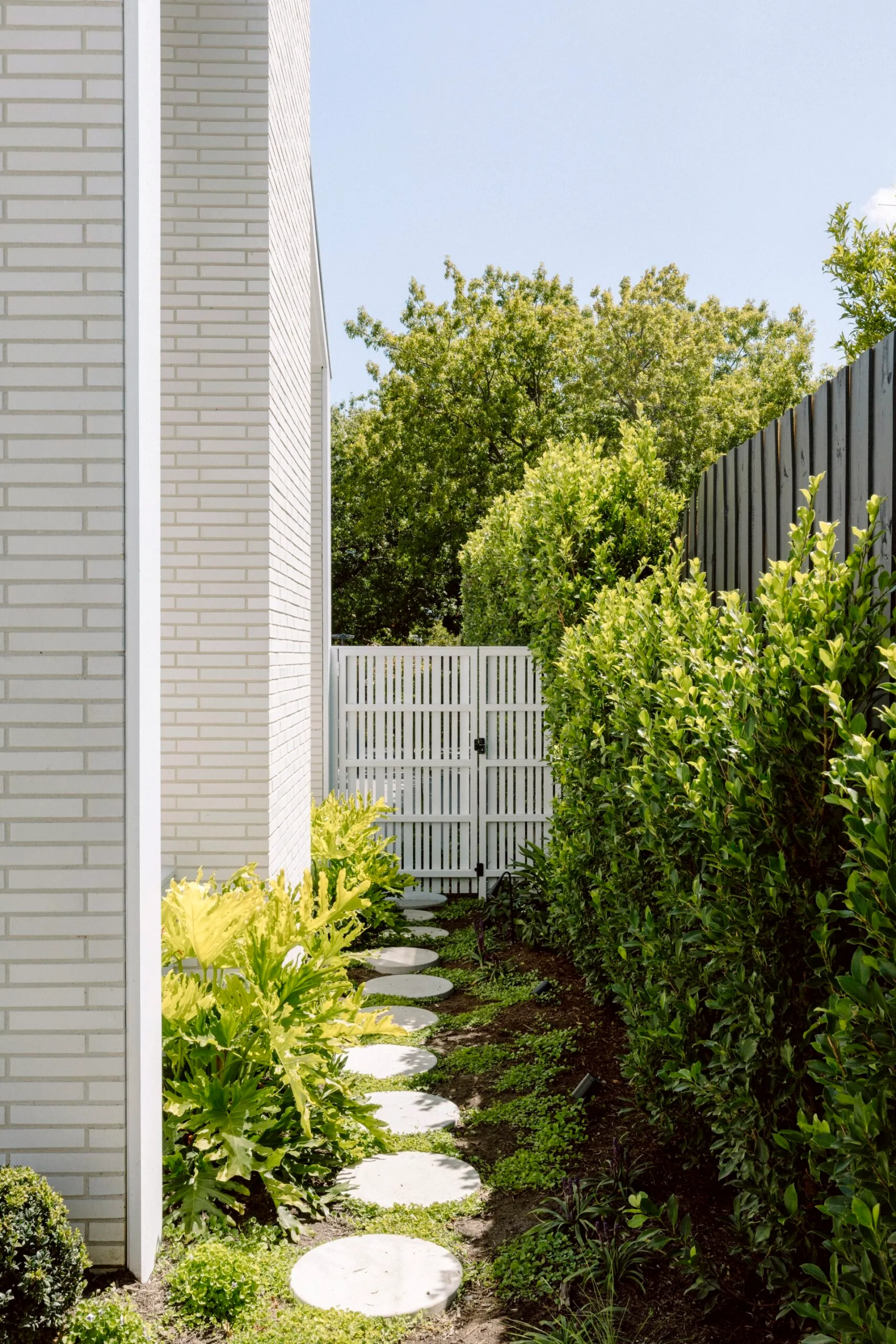Side garden with stepping stones
