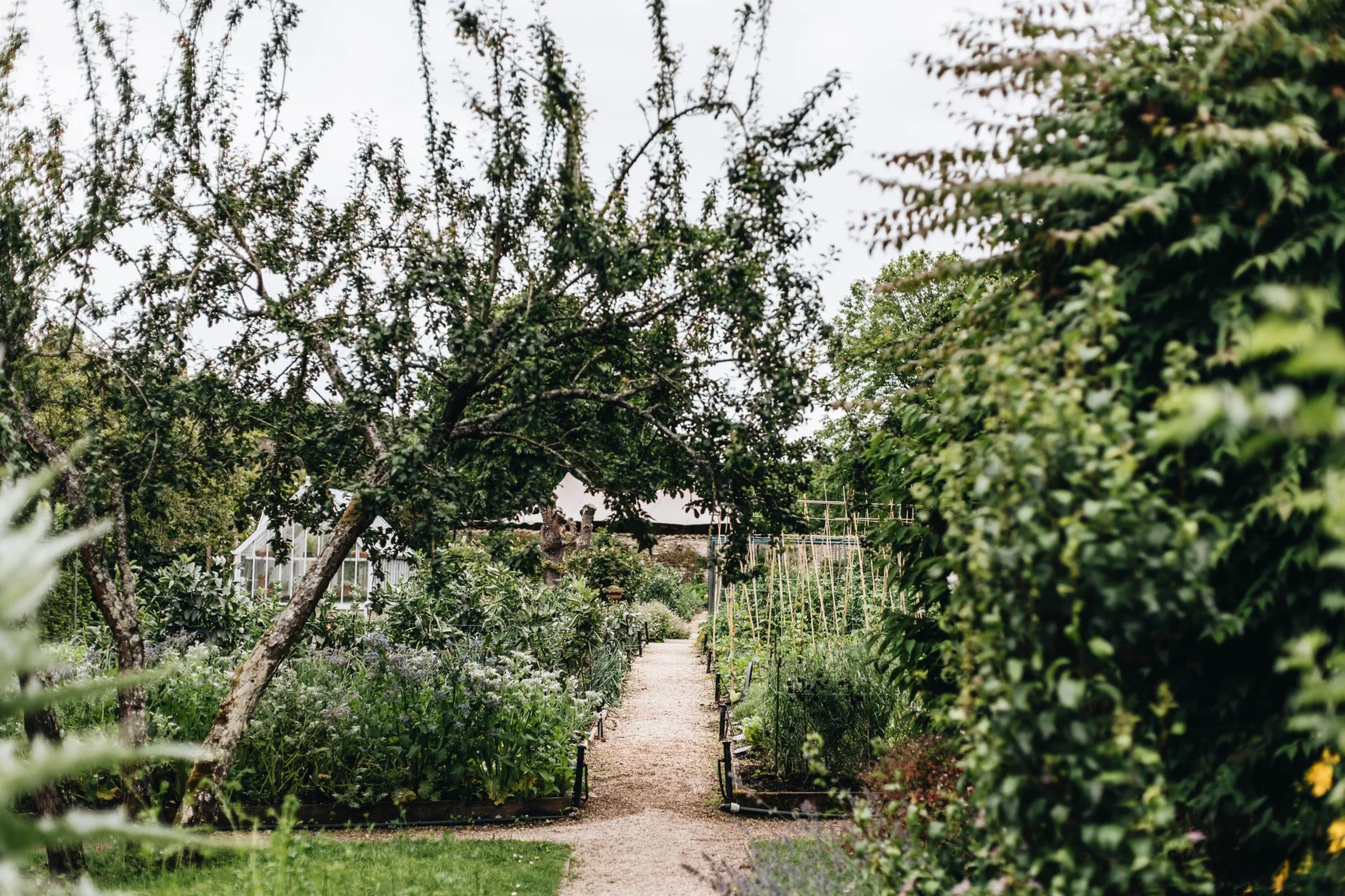 A kitchen garden at The Pig Near Bath