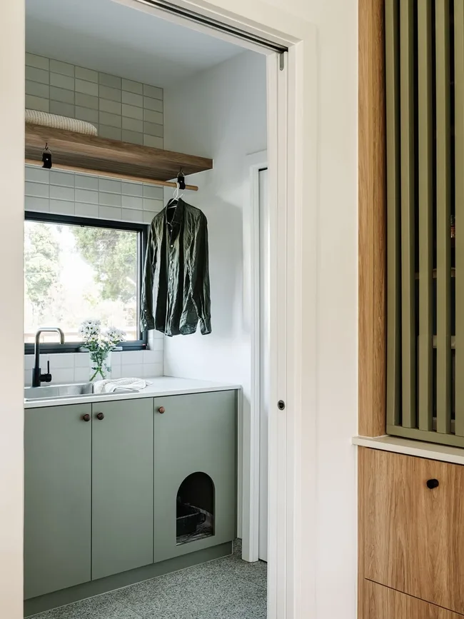 Why Cat-Friendly Interiors Are Taking Over Interiors In 2026 | Homes To ...