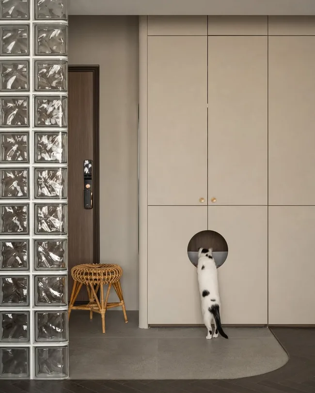 Why Cat-Friendly Interiors Are Taking Over Interiors In 2026 | Homes To ...