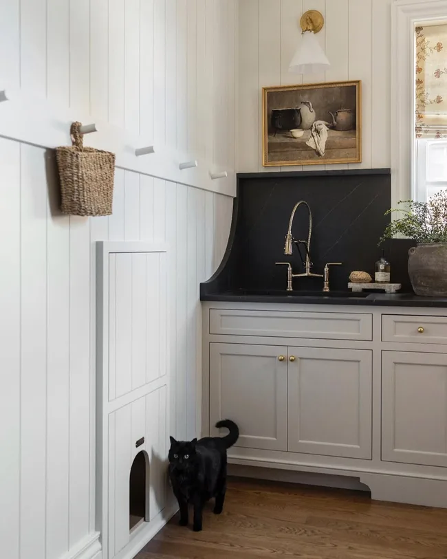 Why Cat-Friendly Interiors Are Taking Over Interiors In 2026 | Homes To ...
