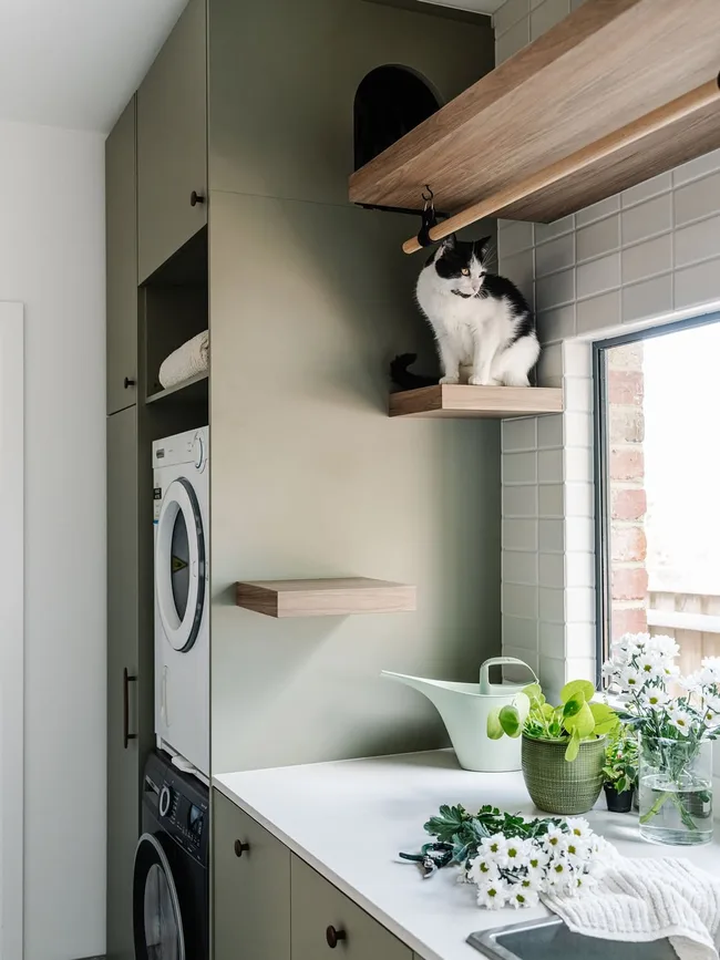 Why Cat-Friendly Interiors Are Taking Over Interiors In 2026 | Homes To ...