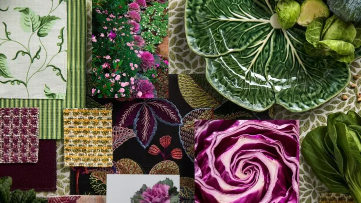 A collage of bits and pieces relating to cabbage