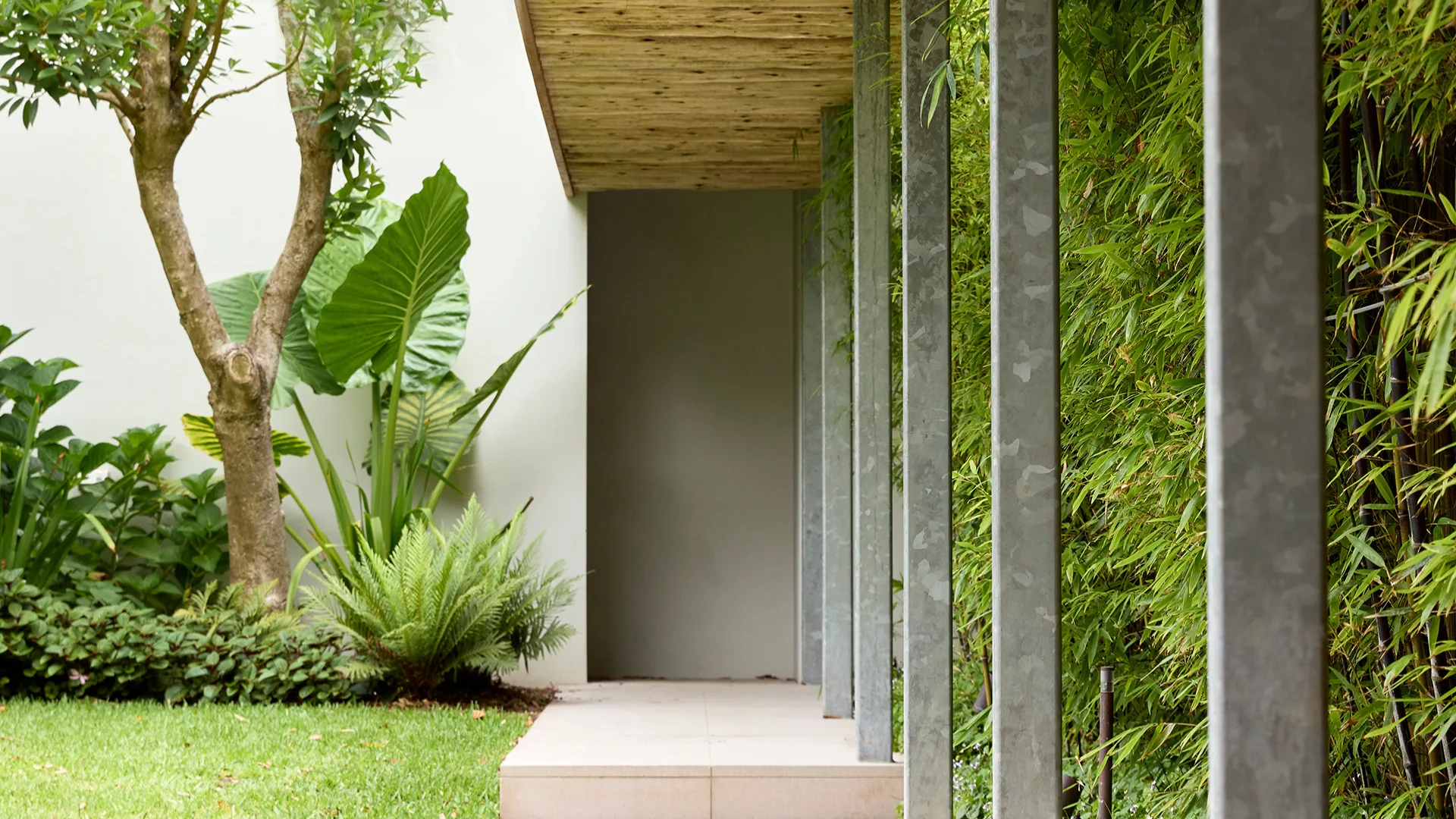 Entry Garden Ideas: A Landscape Designer's Expert Planting Plan | Homes ...