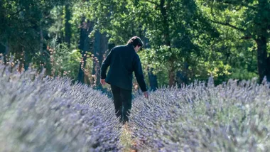 Can a French perfumer make lavender cool again?