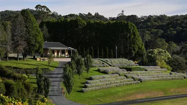 Pethick House, a farm stay estate amongst the vineyards in McLaren Vale, close to Adelaide