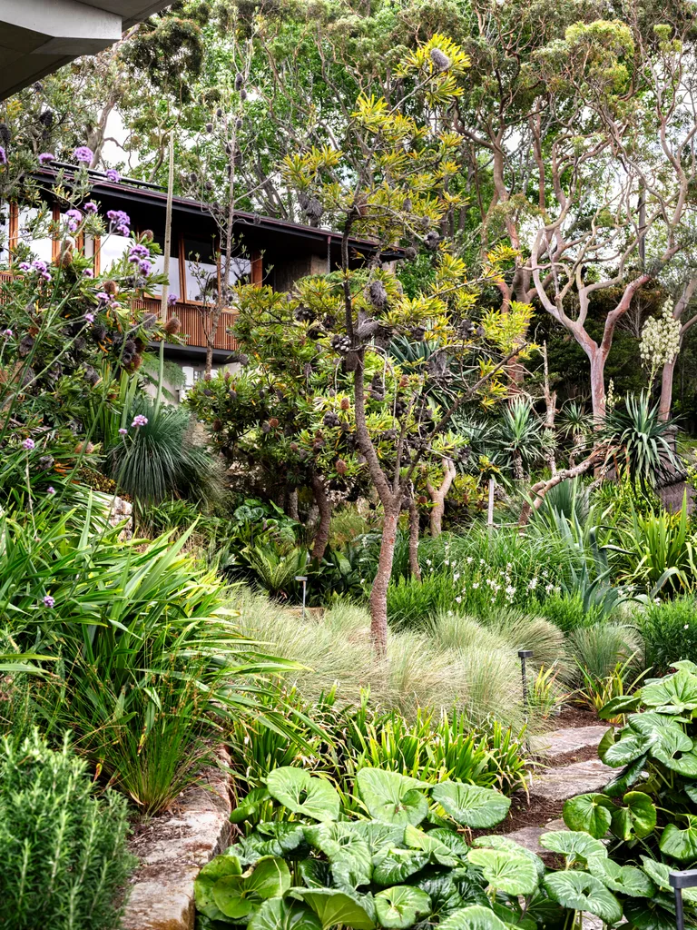 Australian garden