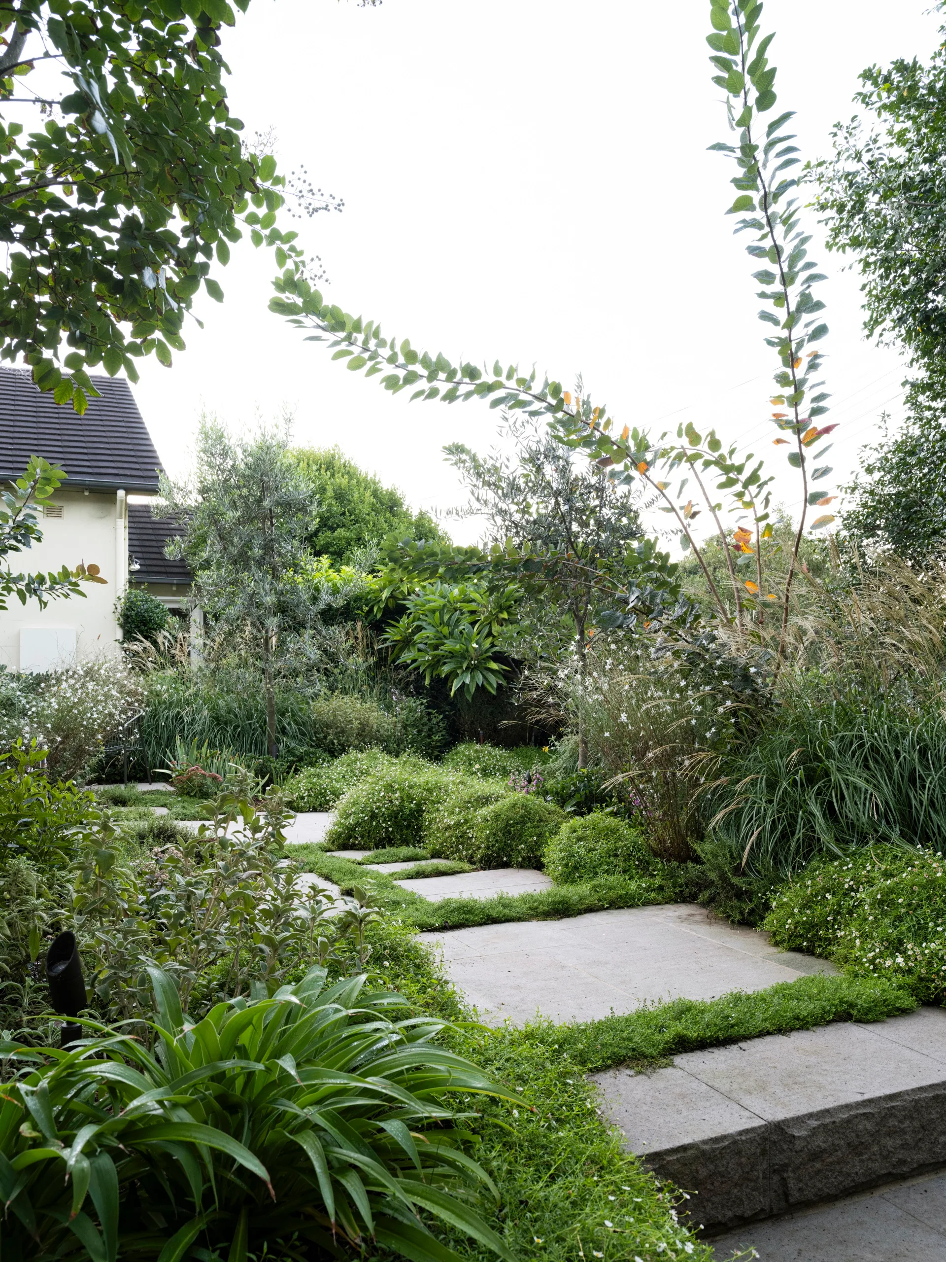 Garden path