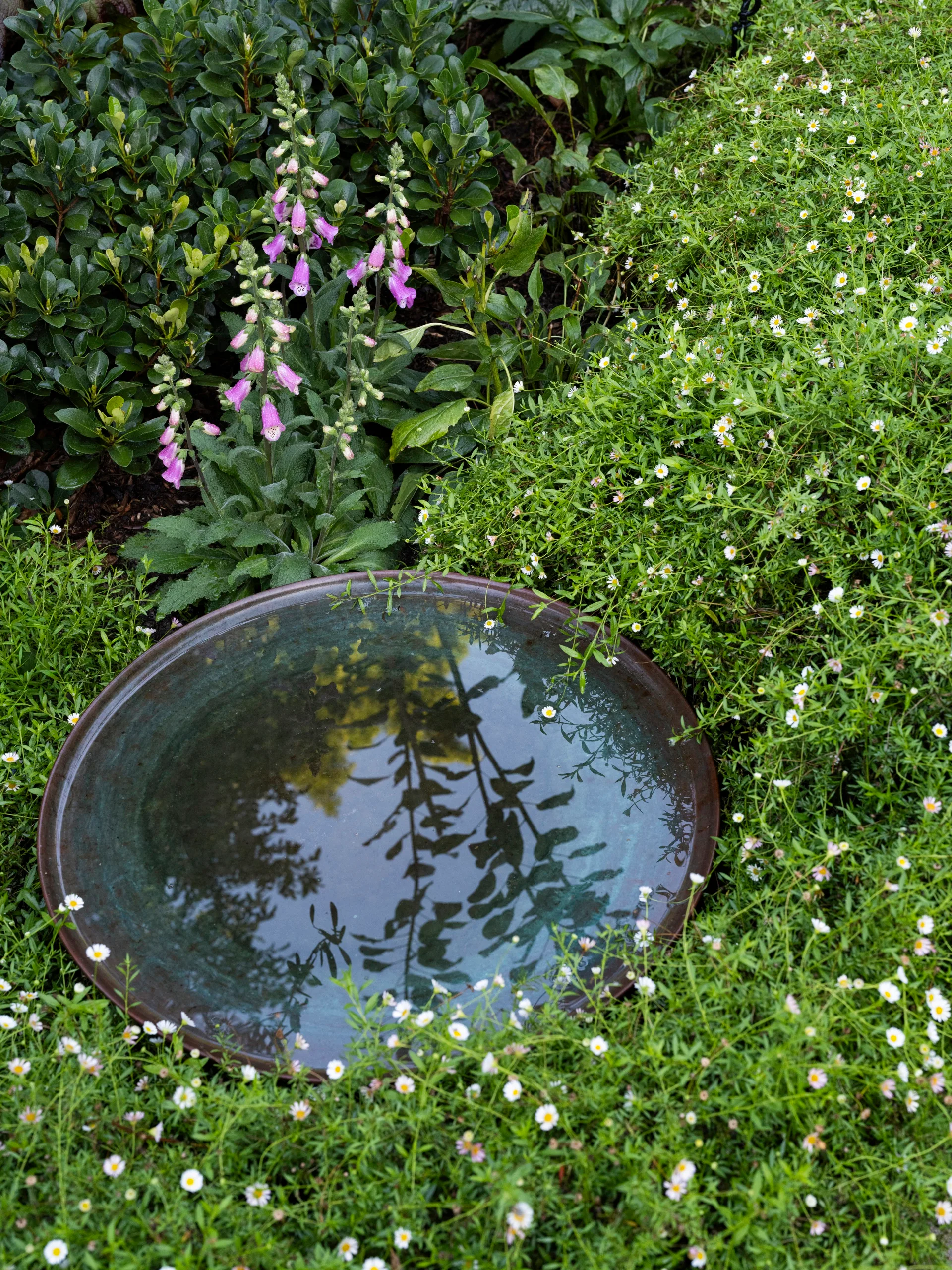 Bird bath