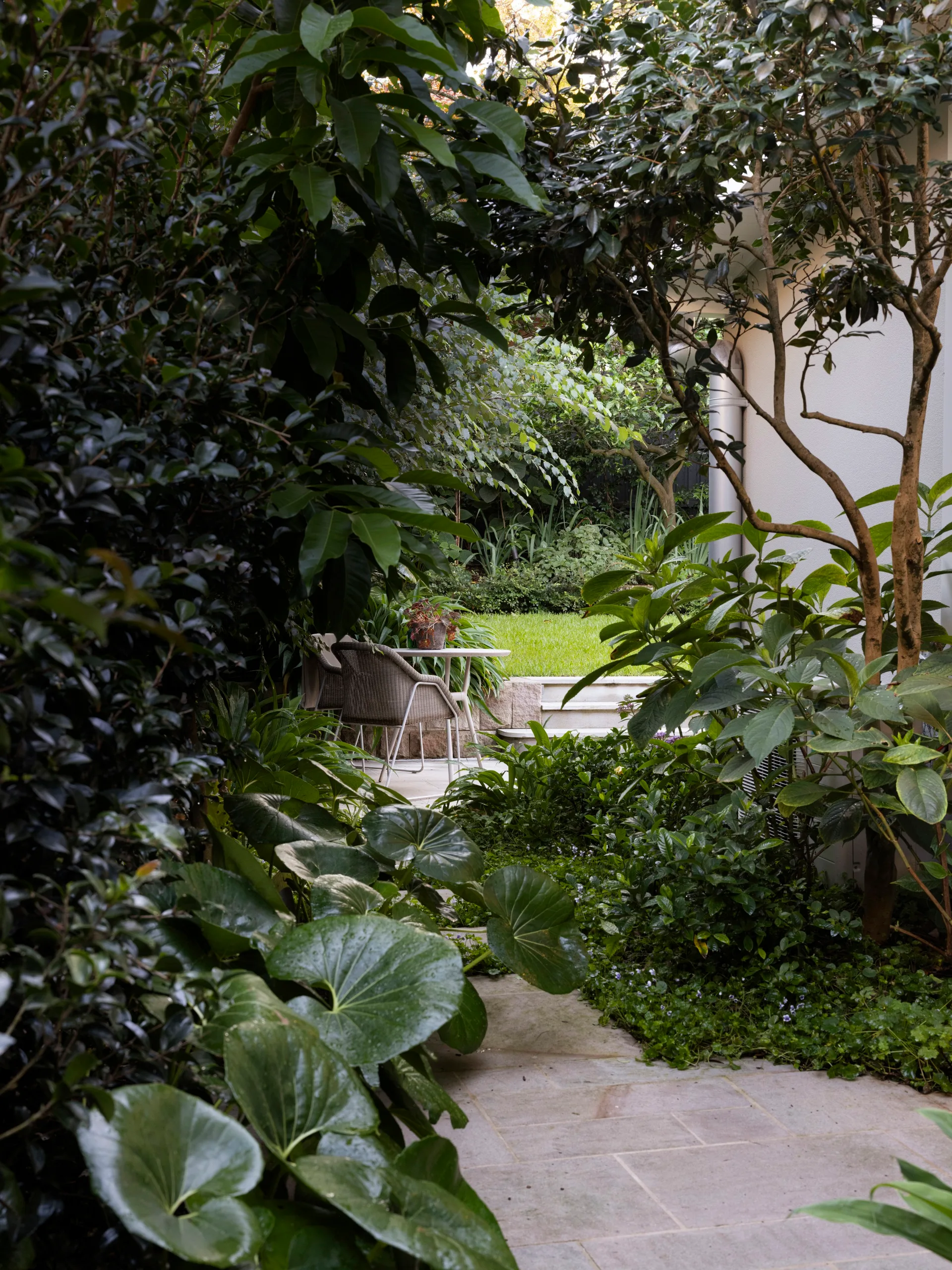 Leafy garden