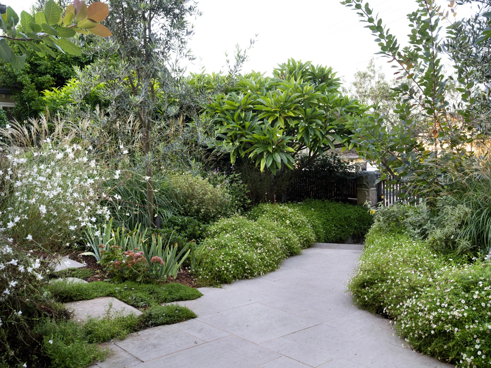 Garden path