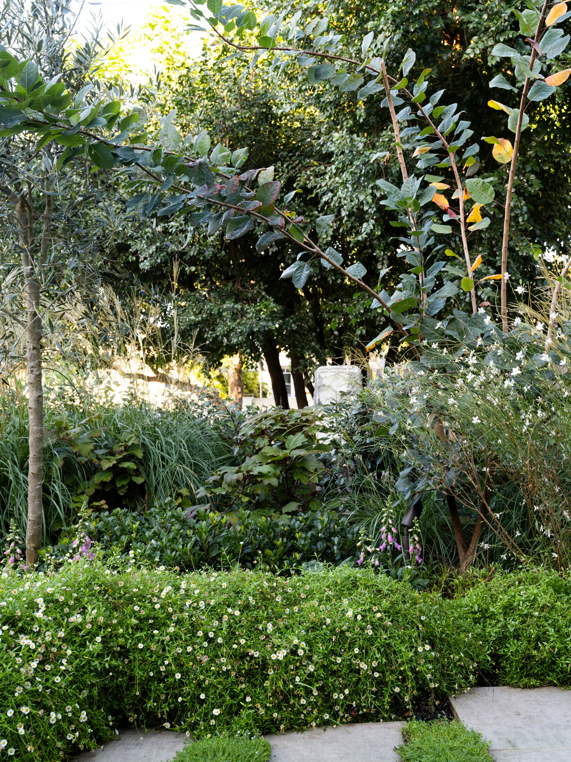 Garden path