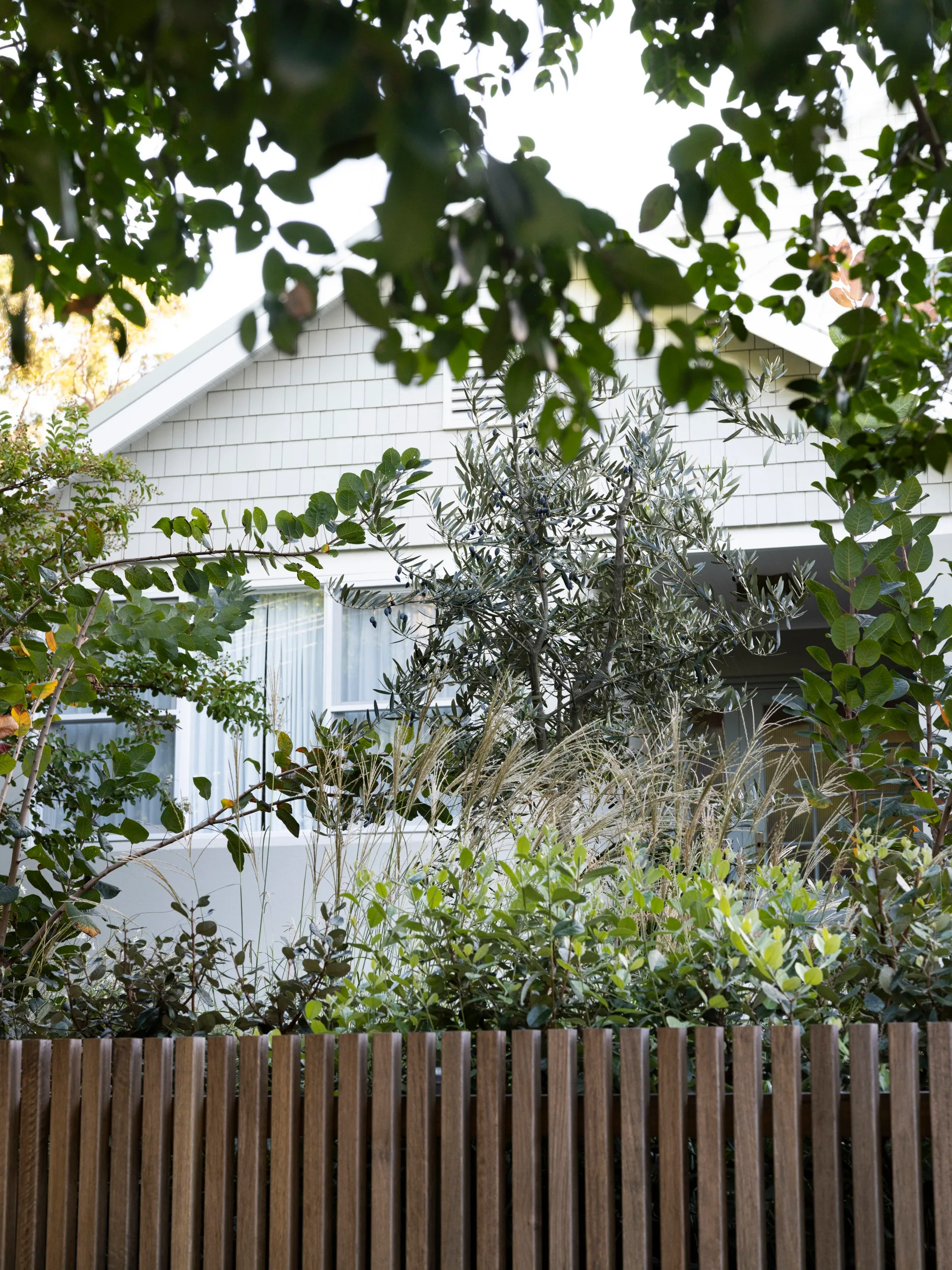 Leafy garden