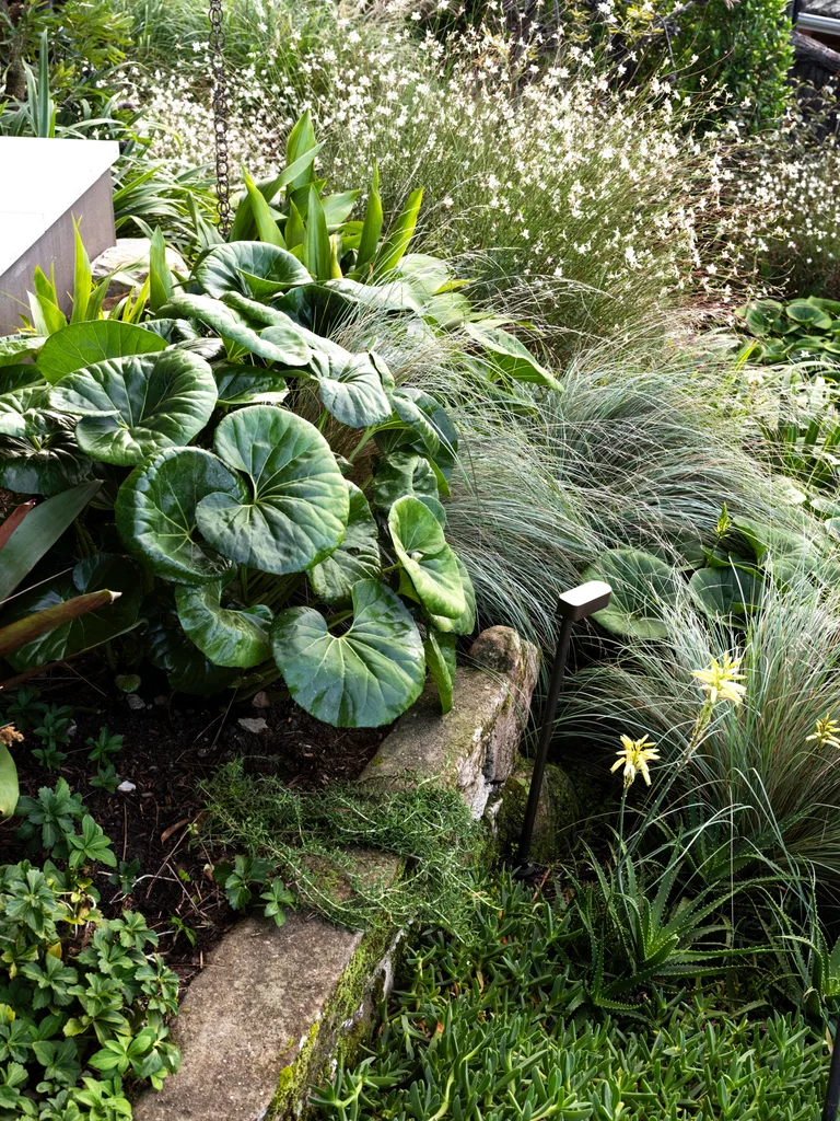 Nelson Thomas garden