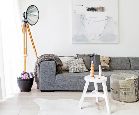 Scandinavian style living room