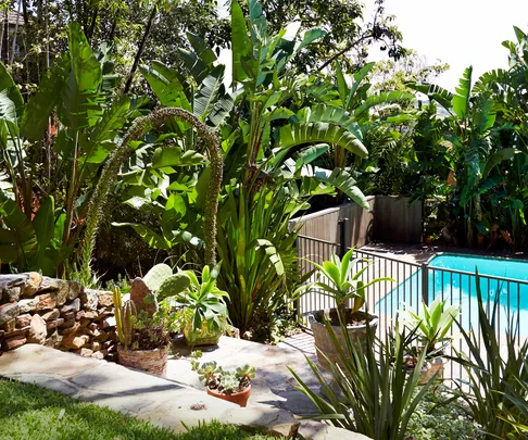 summer garden tips Australia