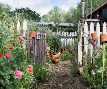 7 ways to repurpose household items in your garden