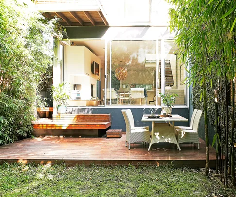 backyard screening plants