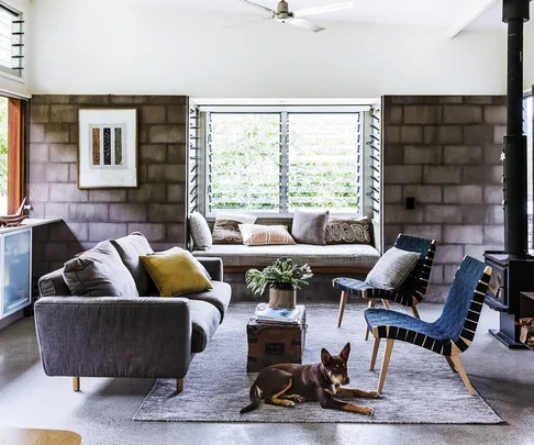 How to care for older animals