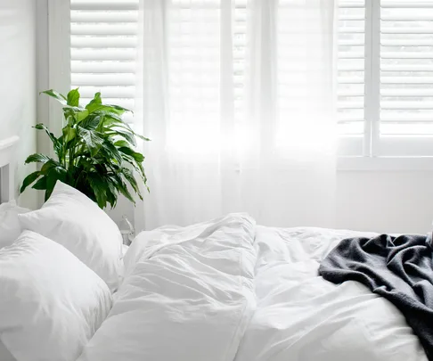 Organic cotton sheets