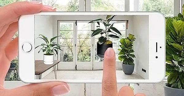 Plant Life Balance App: Enhance Your Gardening