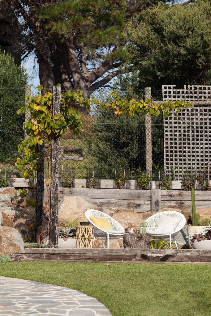 Backyard with lawn with outdoor setting and plants