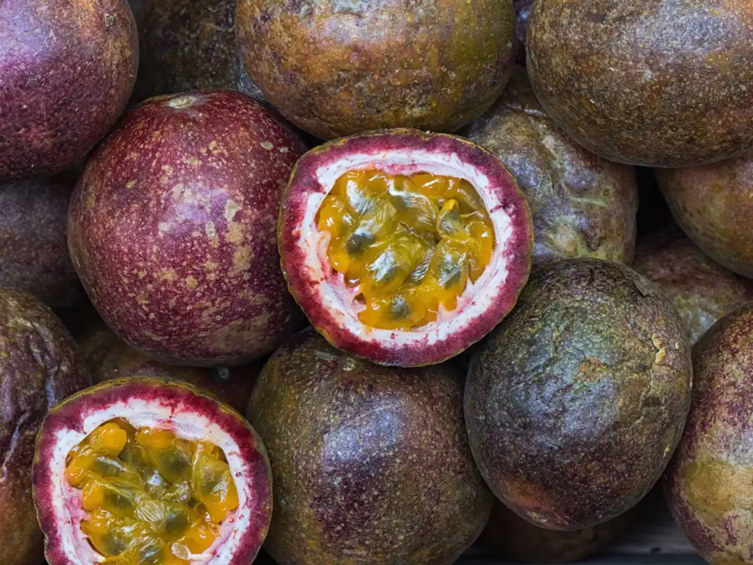 How to grow passionfruit from seed