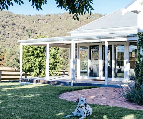 Dalmation on the lawn of a modern country home