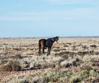 Corner Country NSW in pictures