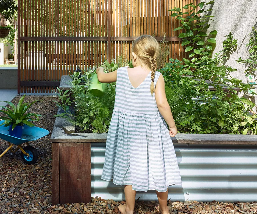 raised garden bed ideas