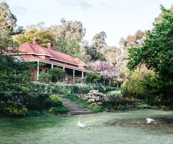 Inside the established gardens of Ford House in Bridgetown, WA