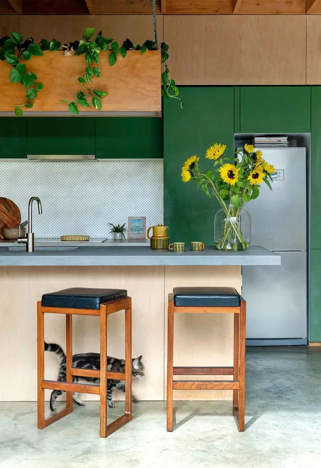 Modern kitchen with green cabinets, sunflowers in a vase, wooden stools, and a cat walking underneath the counter.