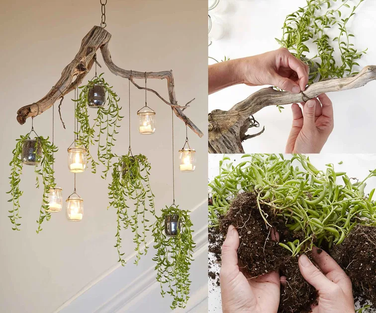 How to make a cascading plant chandelier