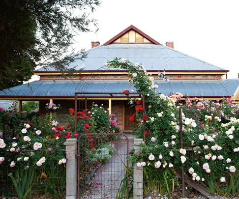 Australian rose garden Adelaide Hills cottage