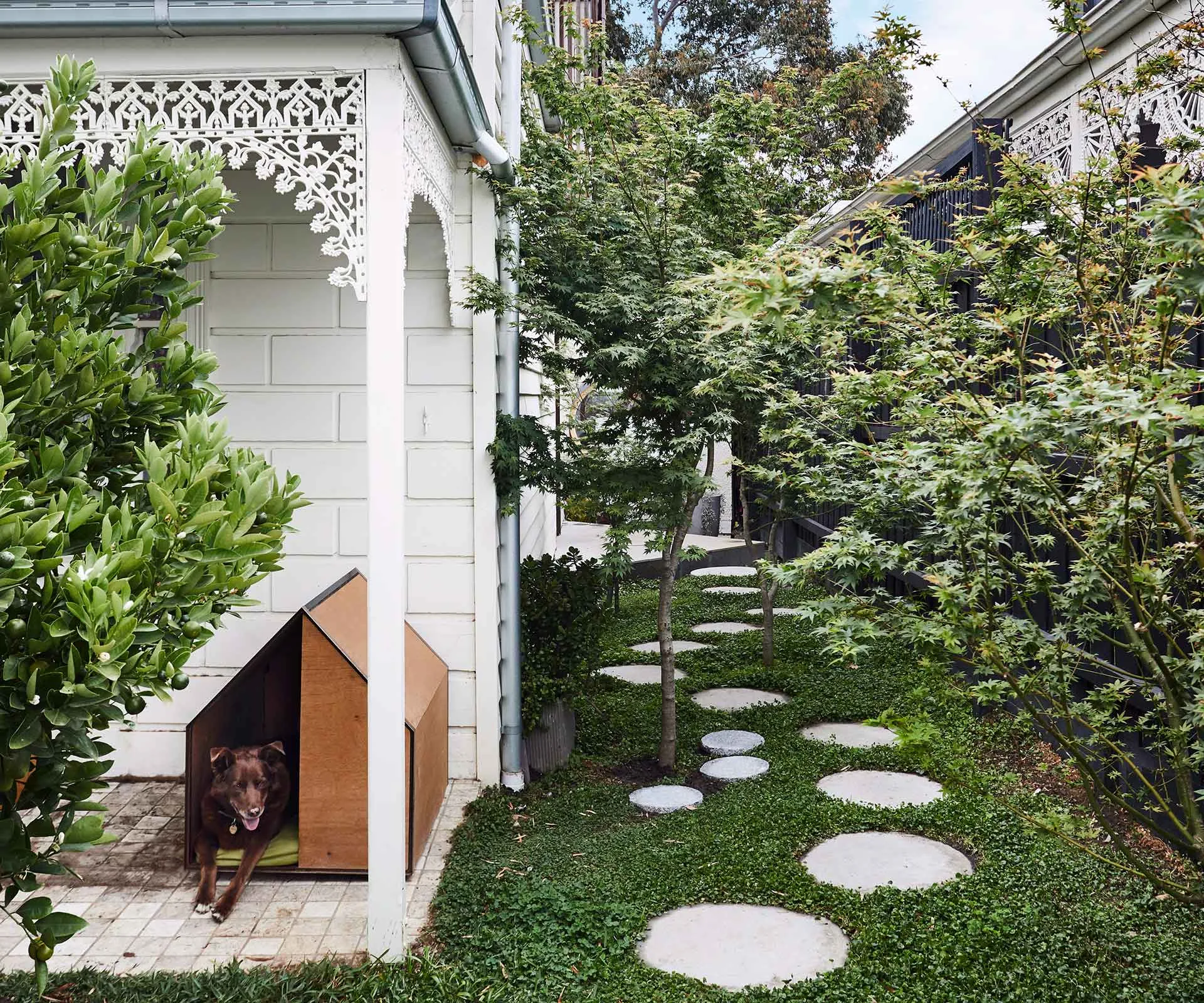 side garden with stepping stones