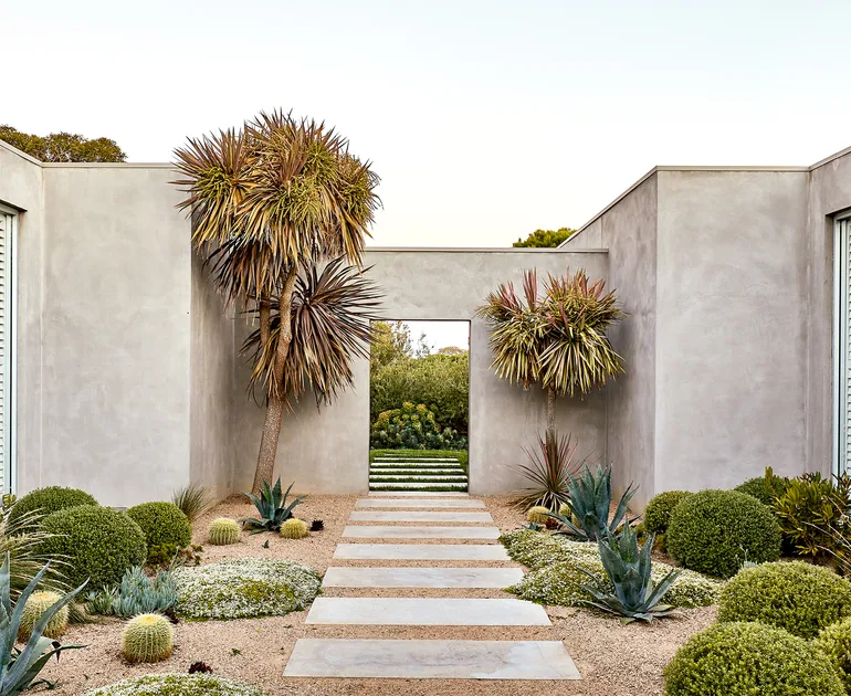 Contemporary coastal garden with exotic and native plants | Homes To Love