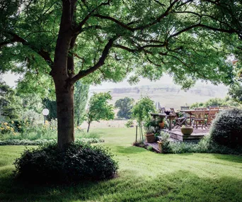 Outdoor eating area shaded by large tree
