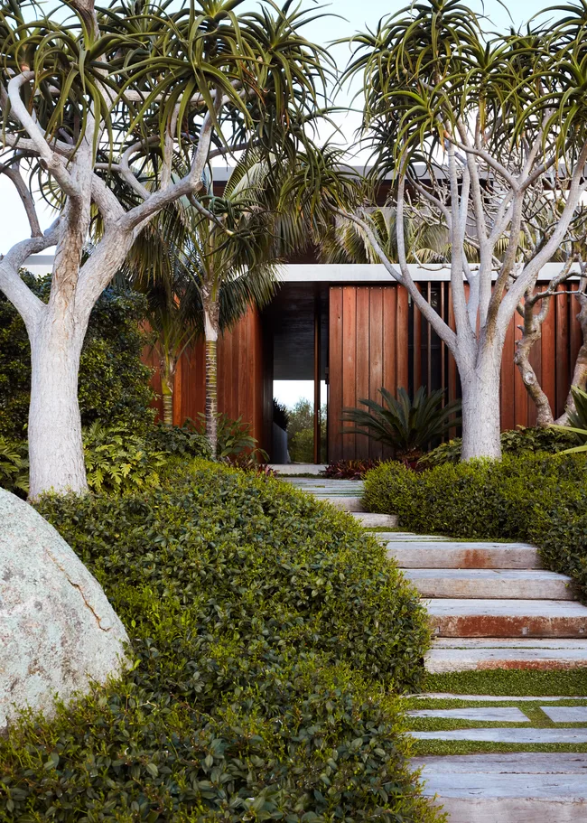 A coastal garden with shrubs and concrete steps