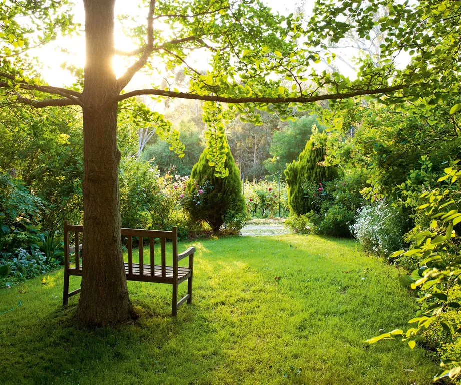 How to make your winter garden thrive