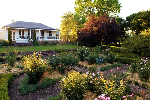 White house with front garden featuring roses and stone pathways